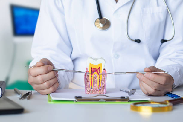 Best Emergency Dentist for Lost Fillings or Crowns in Dawson, GA